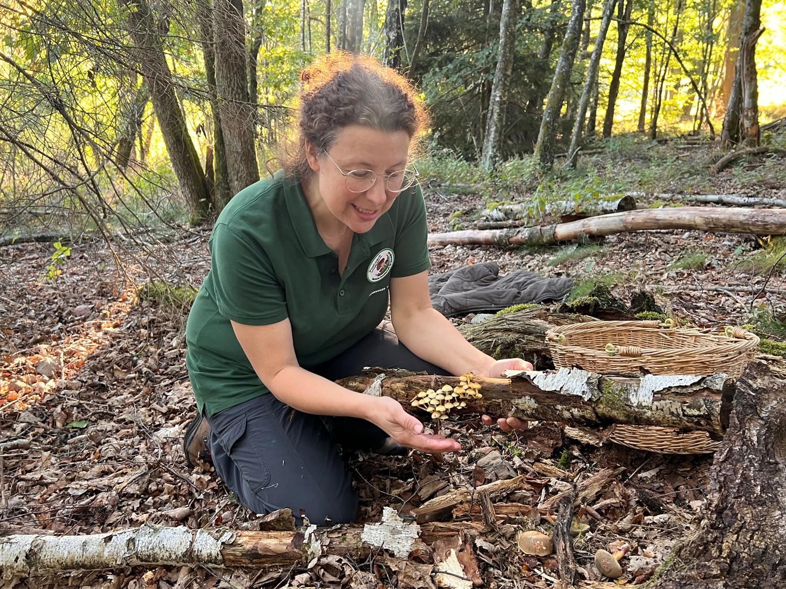 Christine Speck kniet im Wald an einem Birkenstamm und zeigt einen Büschel gelber Pilze, daneben ein Weidenkorb